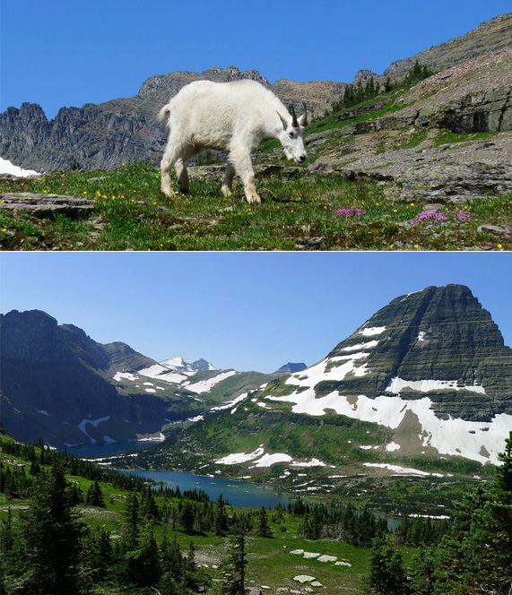 Learn more about Glacier National Park